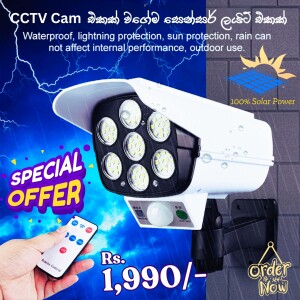 2 in 1 Solar Light & Security Dummy Camera